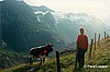 Paisaje.
Alpes austriacos.