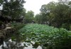 Suzhou: Jard&iacute;n del Pescador