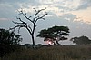 Tarangire