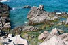 Costa del mar Negro en Sozopol
