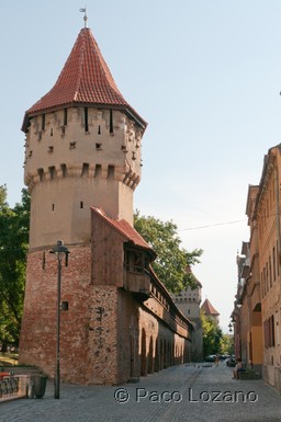 Sibiu