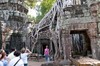 Ta Prohm, Angkor