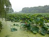 Hangzhou: lago del Oeste