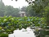 Hangzhou: lago del Oeste