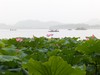 Hangzhou: lago del Oeste