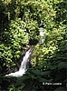 Cascada.
Monteverde.