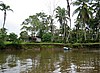 Rancho.
Camino de Tortuguero.