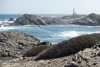 Cap de Favaritx