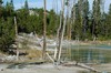 Parque Nacional Yellowstone