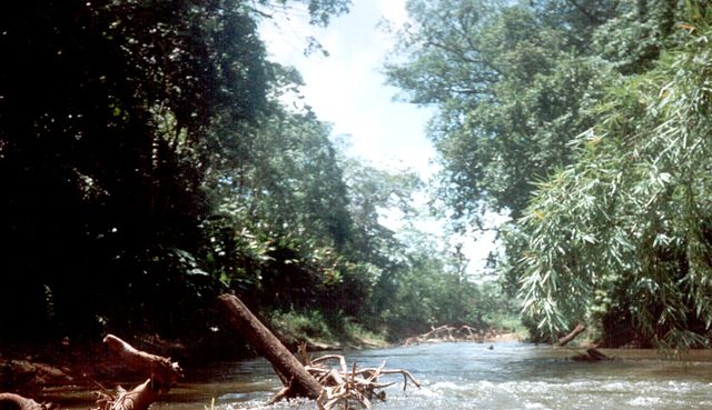 Reserva de la Biosfera de Río Plátano. Imágenes por satélite