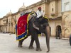 Jaipur: Fuerte Amber