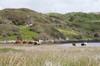 Connemara