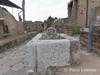 Herculano
