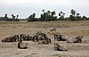 Amboseli