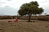 Asentamiento masai (Amboseli)