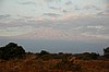 El Kilimanjaro visto desde Amboseli