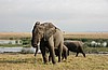 Amboseli
