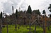 Colina de las Cruces
