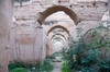 Meknes (Mequinez): establos reales