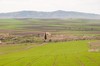 Volubilis