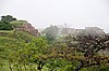 Monte Alb&aacute;n