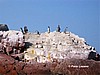 Islas Ballestas.
Ping�inos.