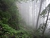 Beskid Zywiecki
