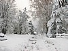 Imagen invernal tomada cerca de Olsztynek