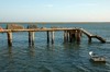 Faro (Algarve)