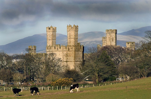 castillo de Caernarfon. Imágenes por satélite