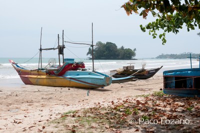 Costa Sur de Sri Lanka
