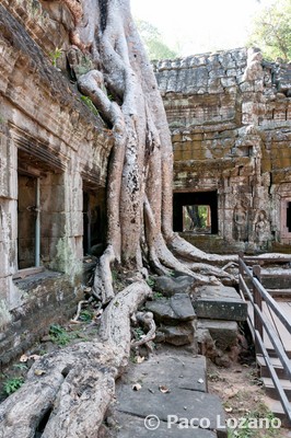 Camboya: Angkor