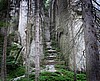 Ardspach