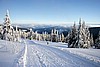 Krkonose en invierno