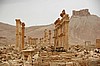 Palmira