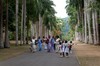 Real Jard&iacute;n Bot&aacute;nico de Peradeniya