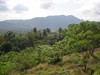 Dambulla