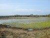 Yala National Park
