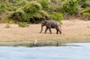 Parque nacional Yala
