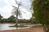 Parque nacional Yala