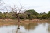 Parque nacional Yala