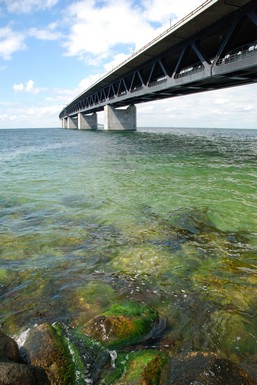 Puente de Oresund. Imágenes por satélite