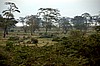 Cr&aacute;ter del Ngorongoro