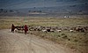 Cr&aacute;ter del Ngorongoro