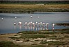 Cr&aacute;ter del Ngorongoro