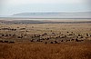 Cr&aacute;ter del Ngorongoro