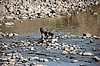 Serengeti