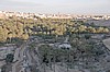Nefta: palmeral de la Corbeille