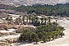 Tamerza