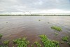 R&iacute;o Orinoco (foto de Gosia Malochleb)